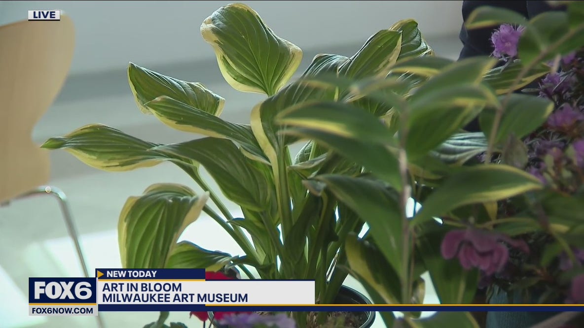 It may not feel that Spring has arrived, but at the Milwaukee Art Museum their art pieces will be in full bloom this weekend